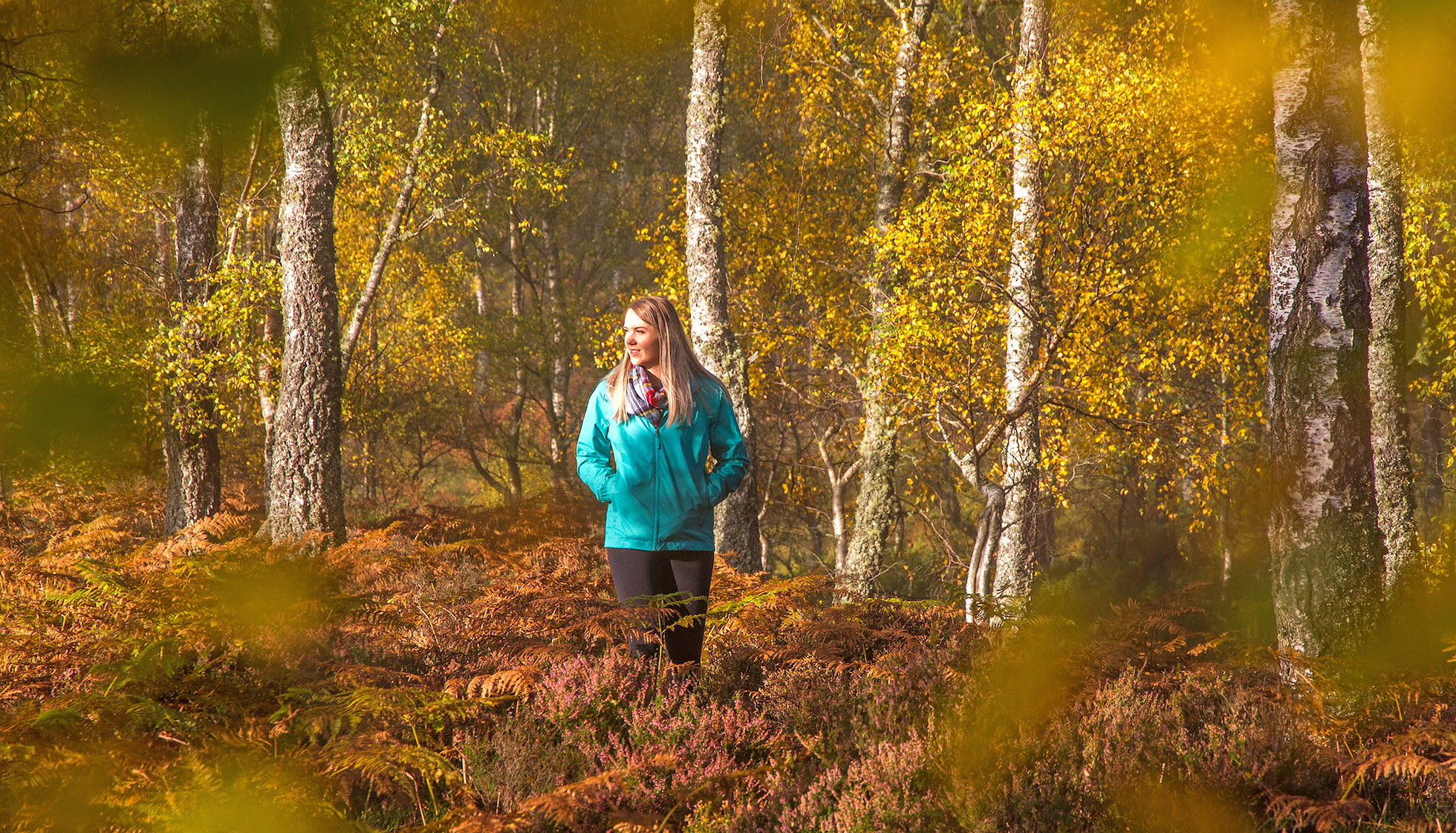 Cairngorms in Autumn - Rewilding Retreat - Cairngorms in Autumn - Rewilding Retreat -